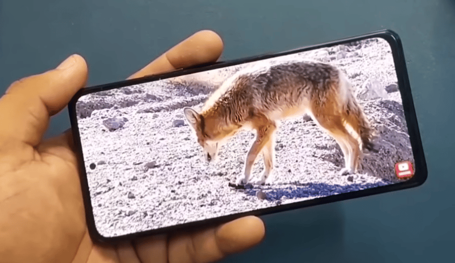 سعر ومواصفات هاتف OPPO Reno8