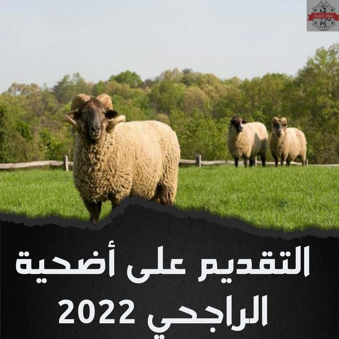 أسعار أضاحي الراجحي 2022
