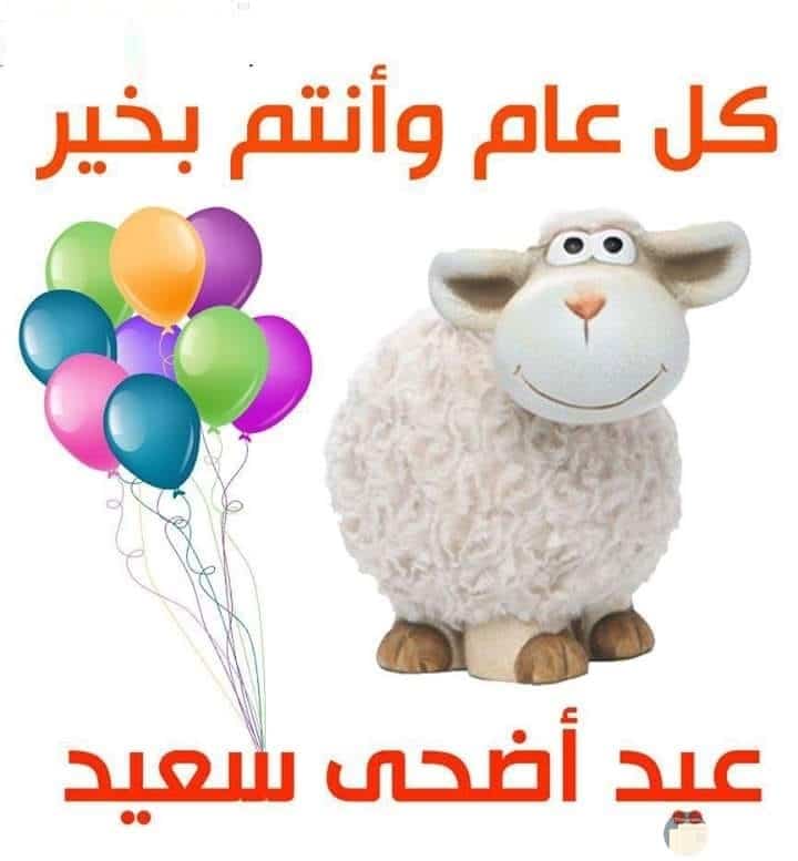 حالات واتساب تهنئة عيد الأضحى