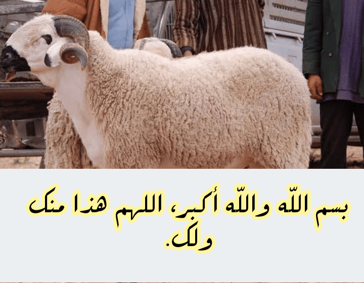 دعاء الذبح في عيد الاضحى 