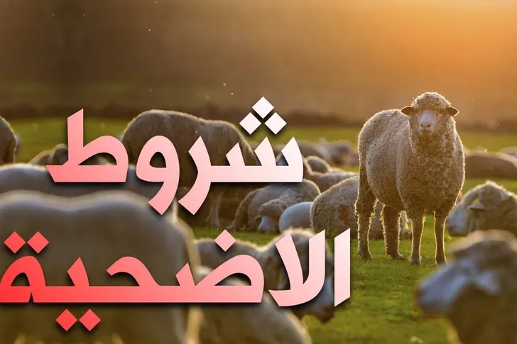 شروط أضحية العيد