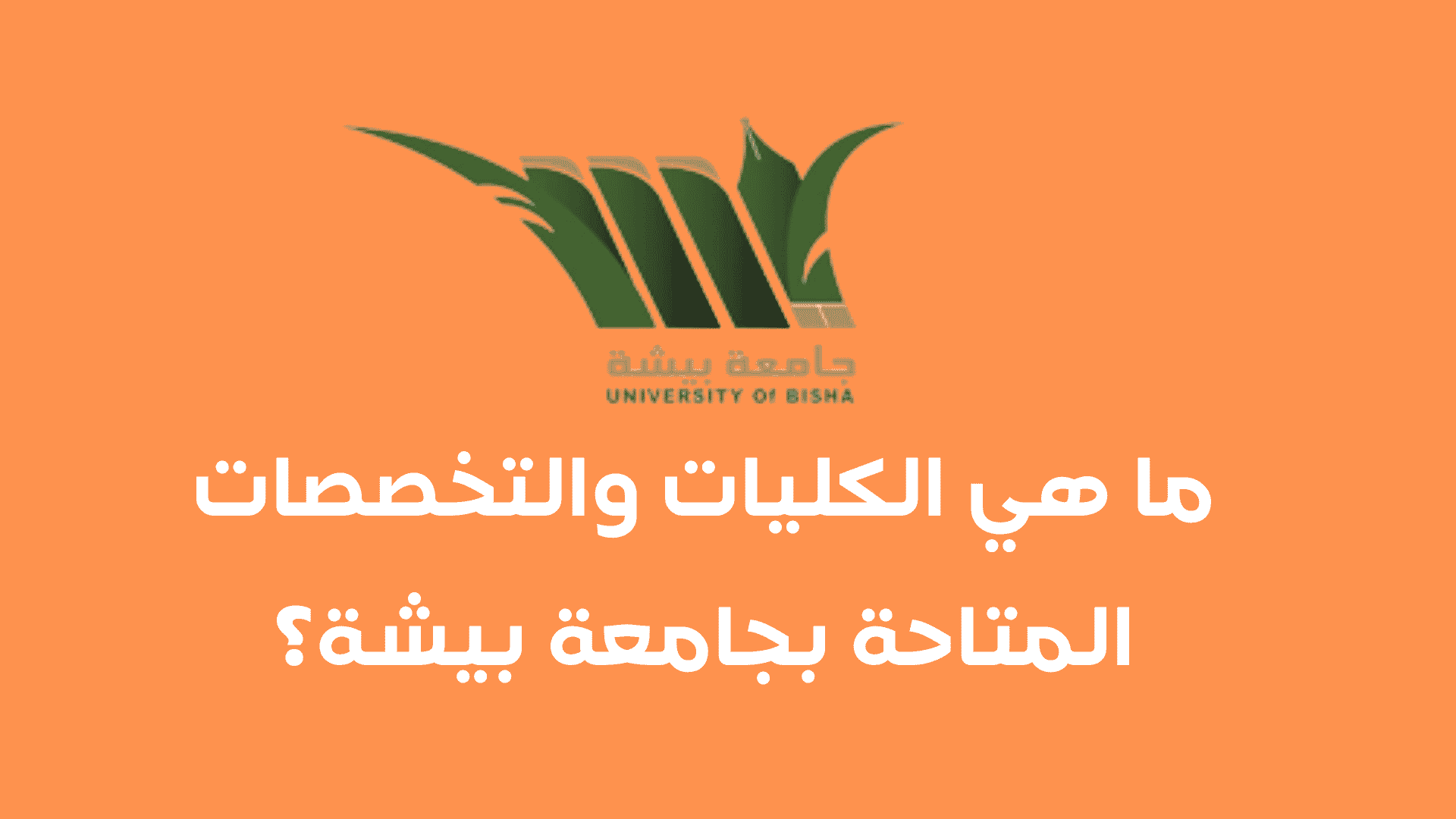 ما هي الكليات والتخصصات المتاحة بجامعة بيشة؟