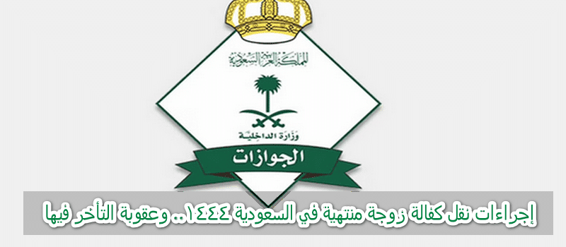 نقل كفالة الأم على الابن