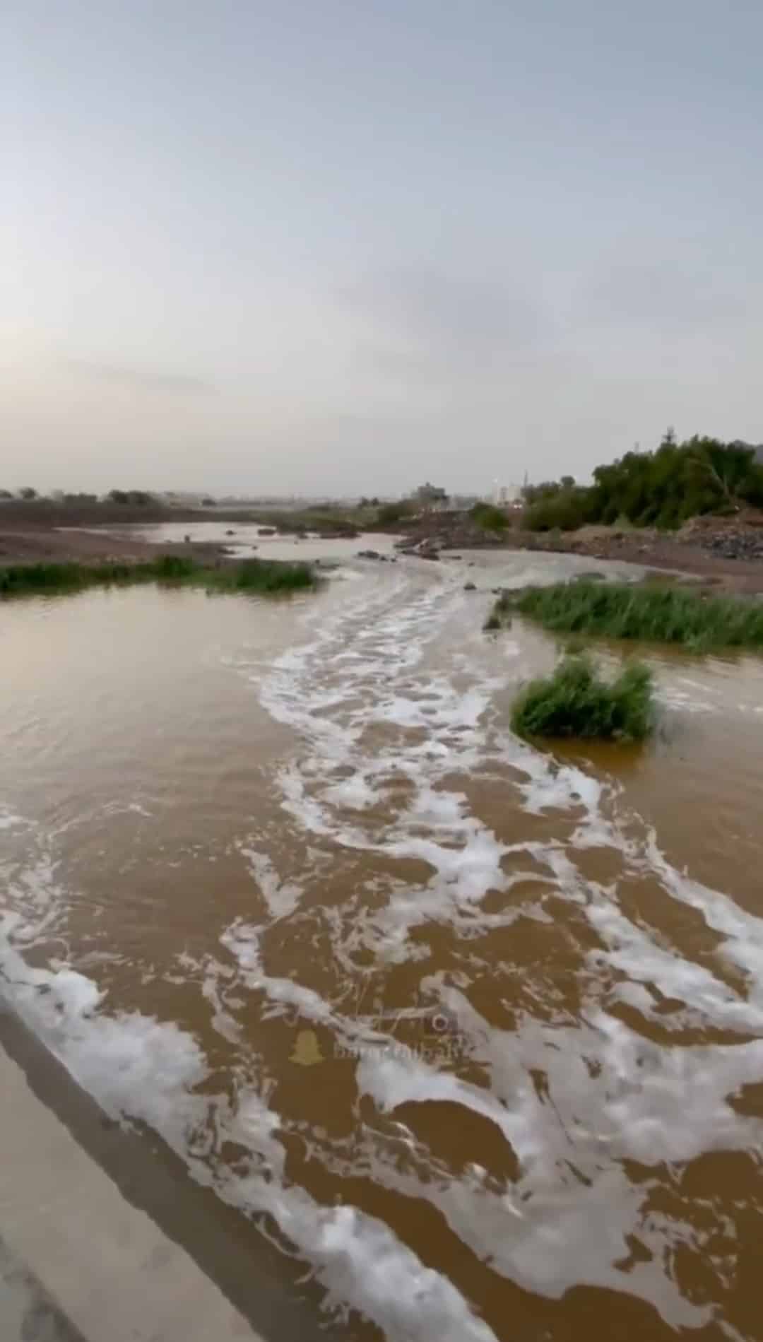 الدفاع المدني بالمدينة ينقذ شخصا كان عالقا في سيل وادي العقيق