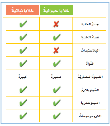 أي التراكيب الآتية توجد في الخلايا النباتية
