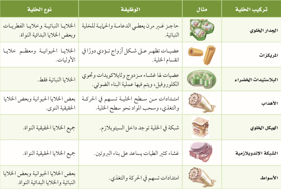 أقسام الخلايا الحية