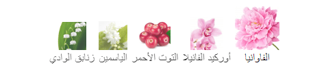 عطر بومب شيل