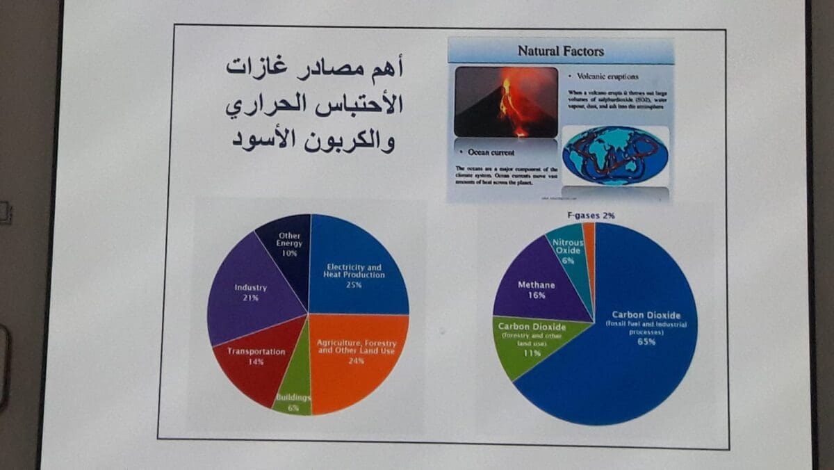 صورة 3