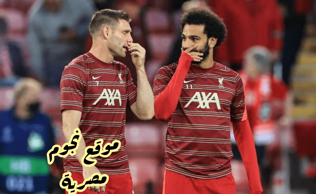 ليفربول ضد برايتون 