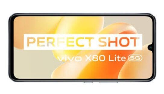 vivo X80 Lite Screen