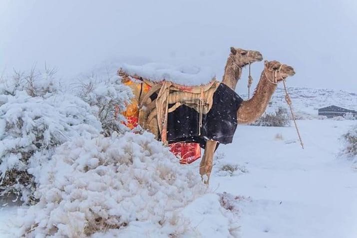 المربعانية بالسعودية