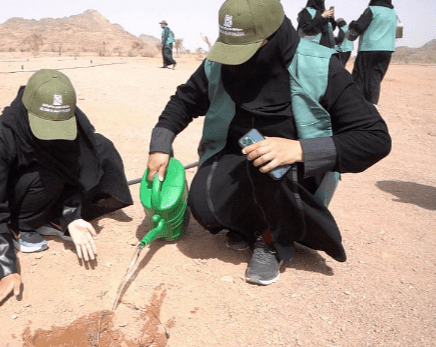 مبادرة "اترك أثرا" تزرع 3 آلاف شتلة