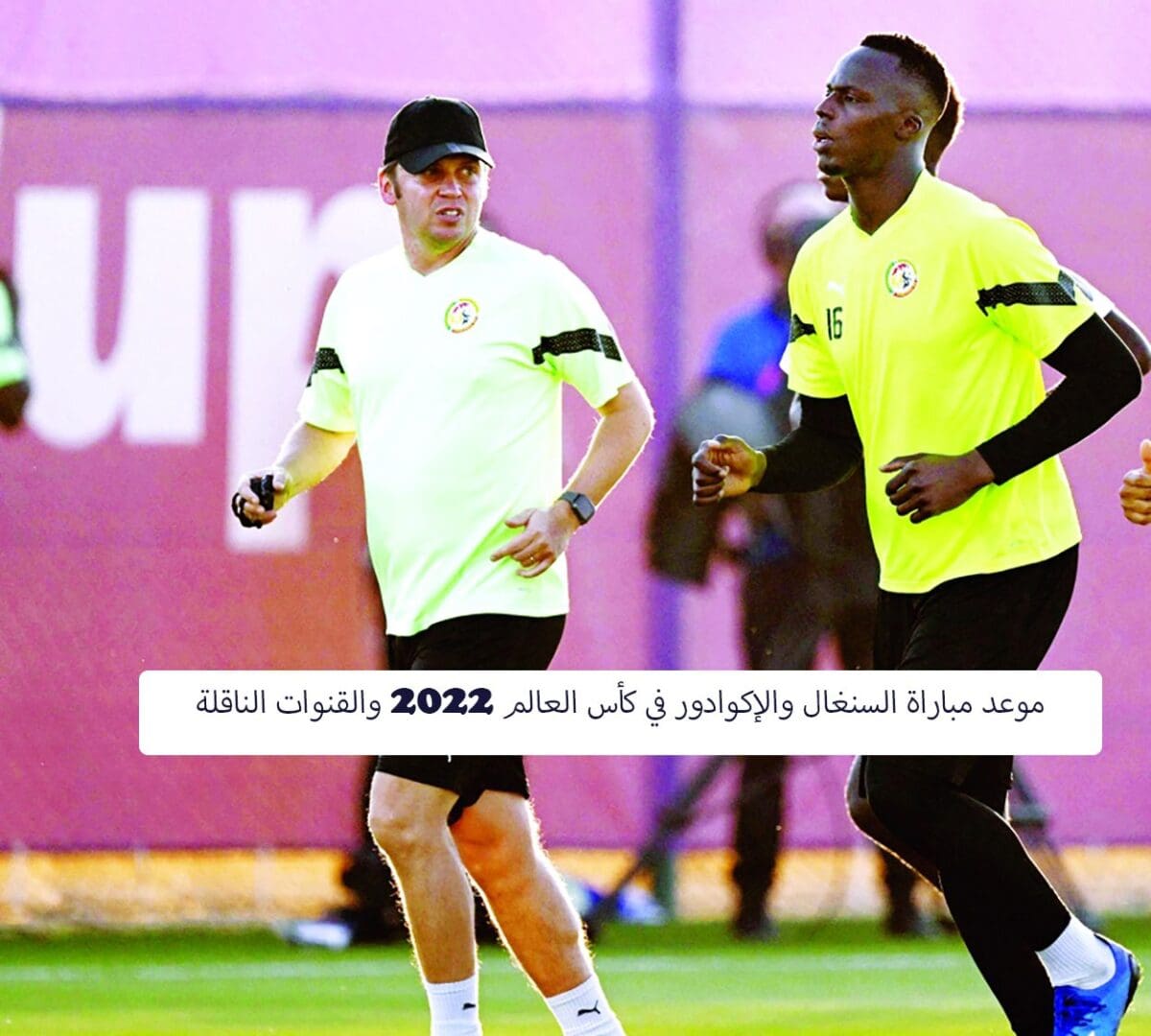 موعد مباراة السنغال والإكوادور في كأس العالم 2022 والقنوات الناقلة