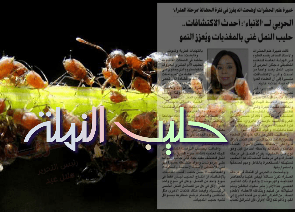 فوائد حليب النملة