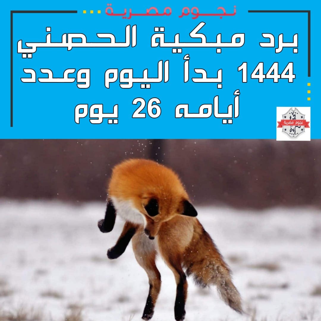 برد مبكية الحصني