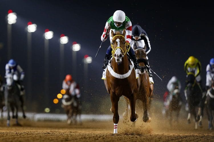 نادي سباقات الخيل في السعودية