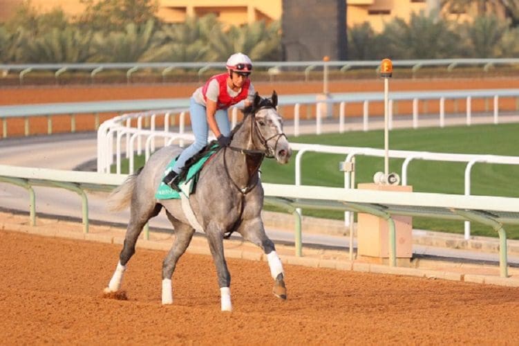 نادي سباقات الخيل في السعودية