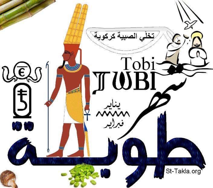 اعرف النهارده كام طوبة 2023 في مصر