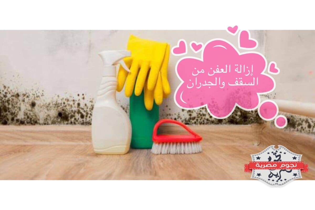العفن من الأسقف