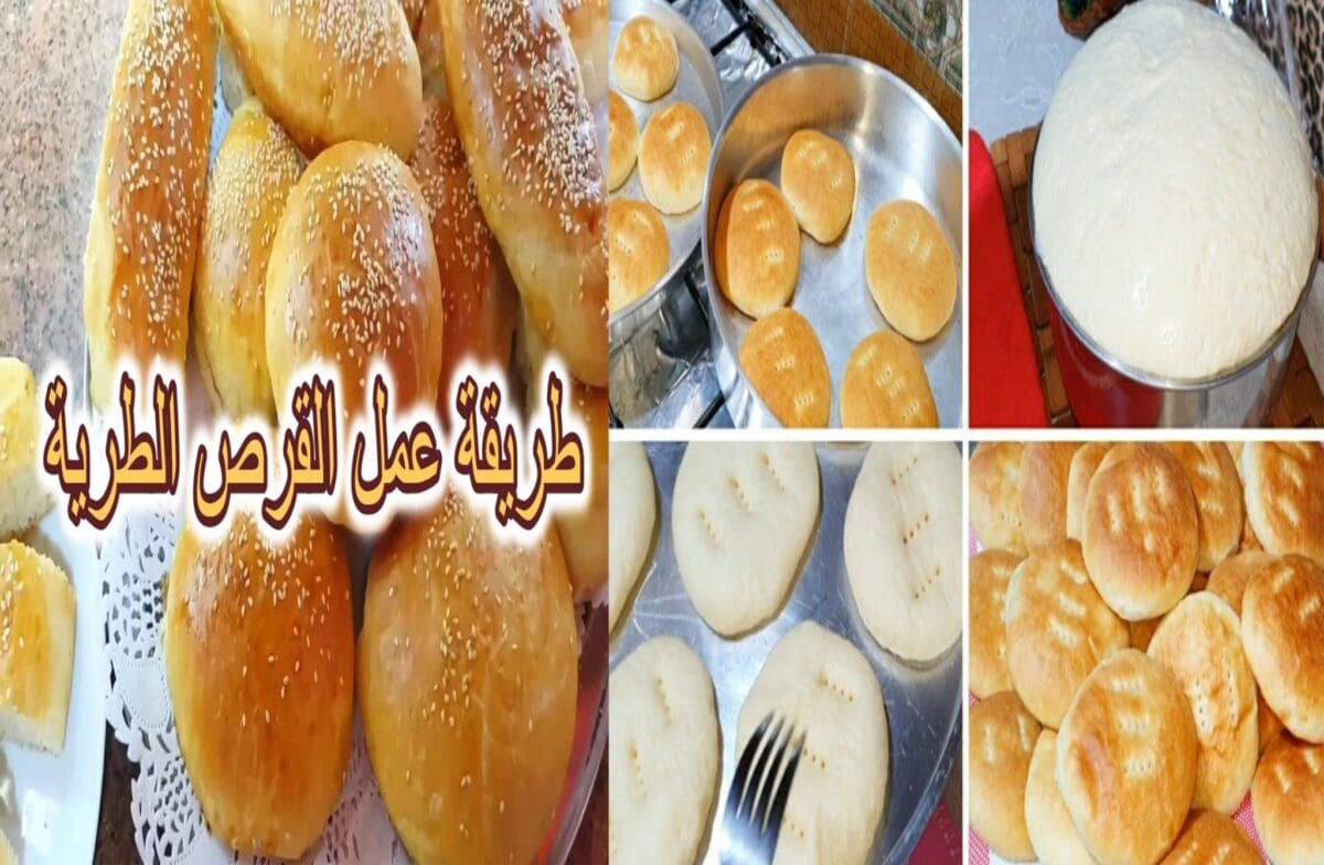 طريقة عمل القرص الفلاحي