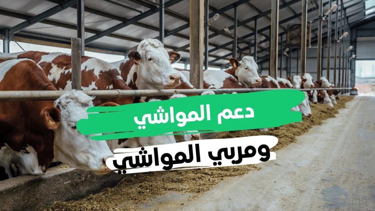 متى ينزل دعم المواشي