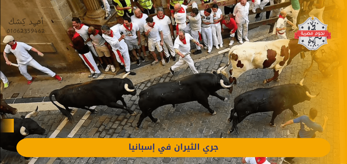 The Running of the Bulls in Spain