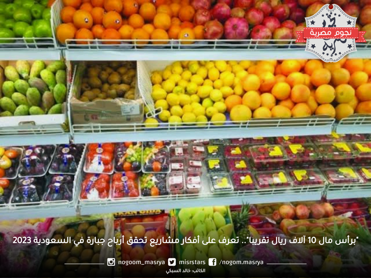 "برأس مال 10 آلاف ريال تقريبا".. تعرف على أفكار مشاريع تحقق أرباح جبارة في السعودية 2023