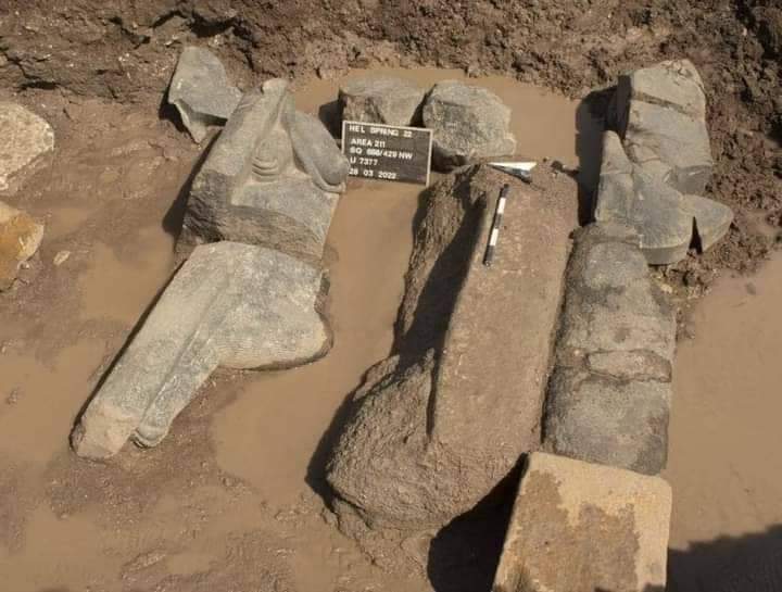 العثور على أجزاء من تمثال رمسيس الثاني وقطع أثرية أخرى في حي المطرية بالقاهرة