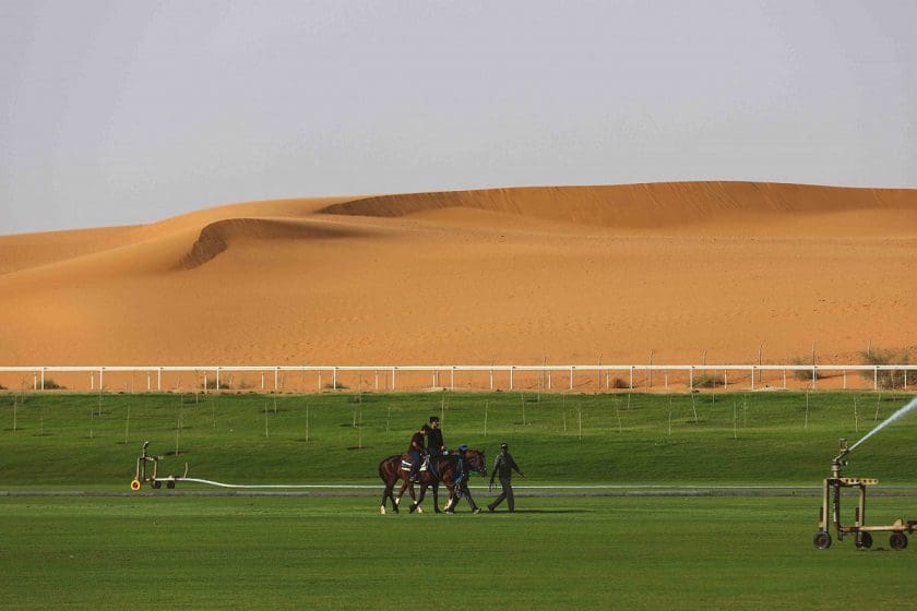 سفاري في حديقة نوفا للحياة البرية