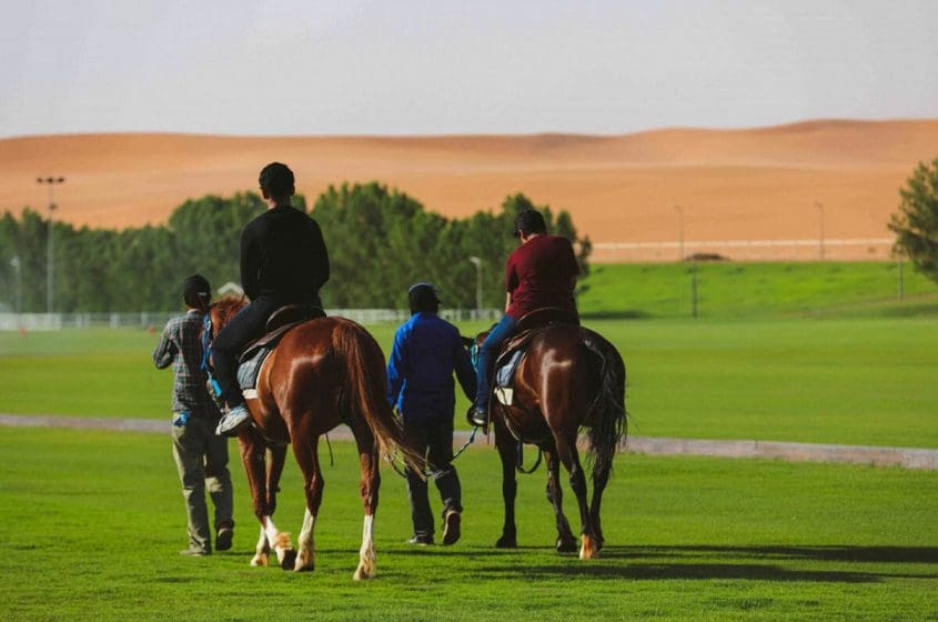 سفاري وركوب خيل مميزة مع حديقة نوفا للحياة البرية