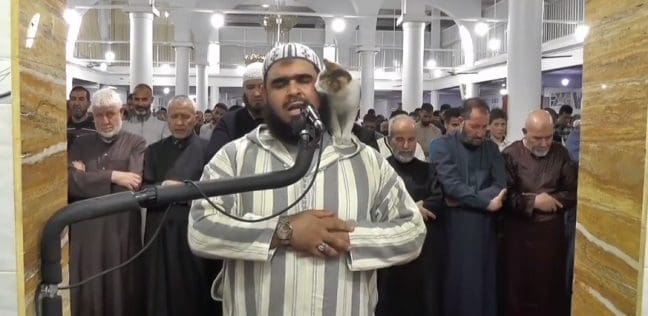 الشيخ وليد مهساس