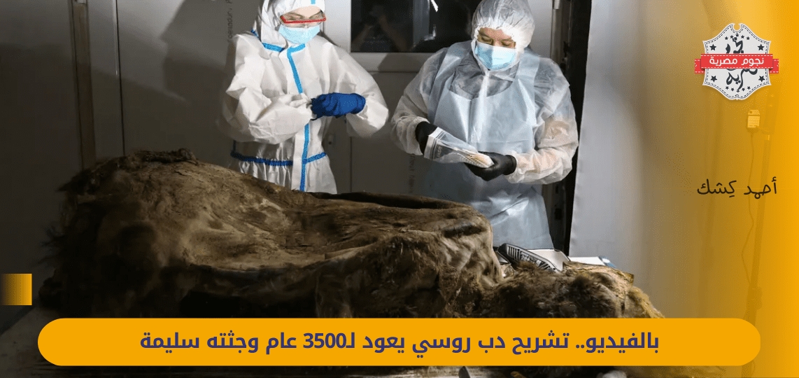 For the first time.. an autopsy of a 3,500-year-old Russian bear, and its body was intact