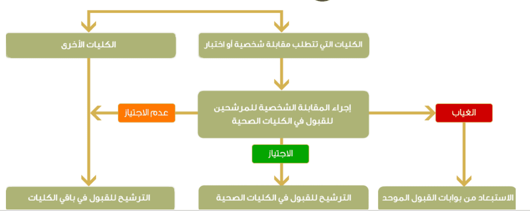 صورة 2