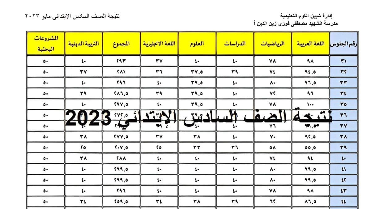 خطوات الاستعلام عن نتائج السادس الابتدائي العراق