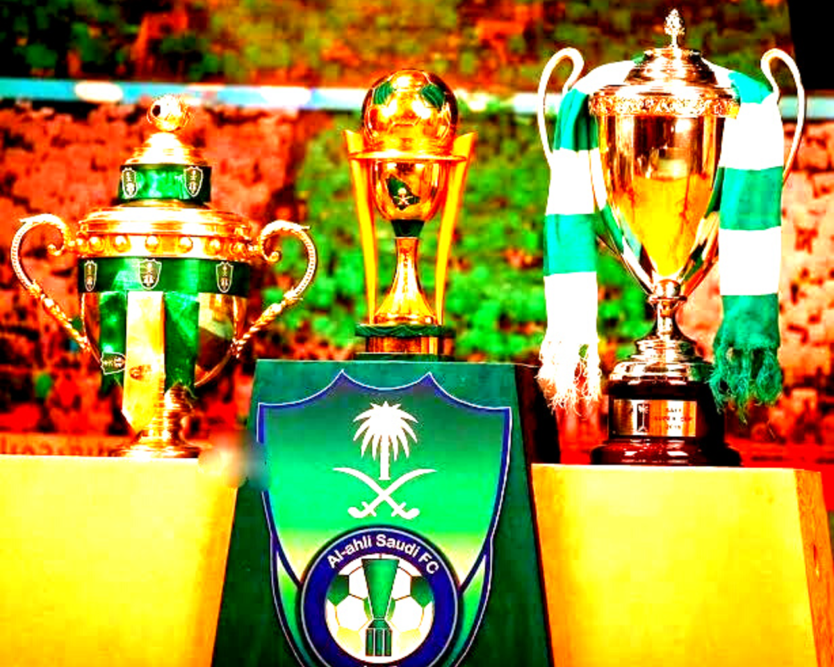 عدد بطولات الفريق على مر التاريخ
