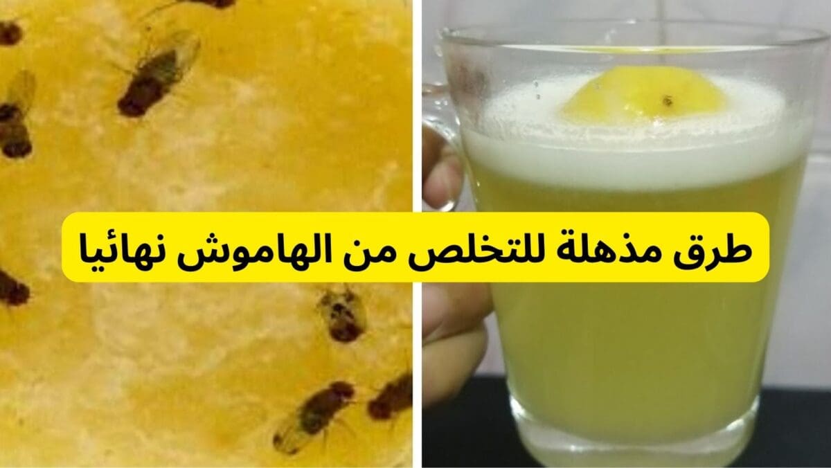 طرد الهاموش