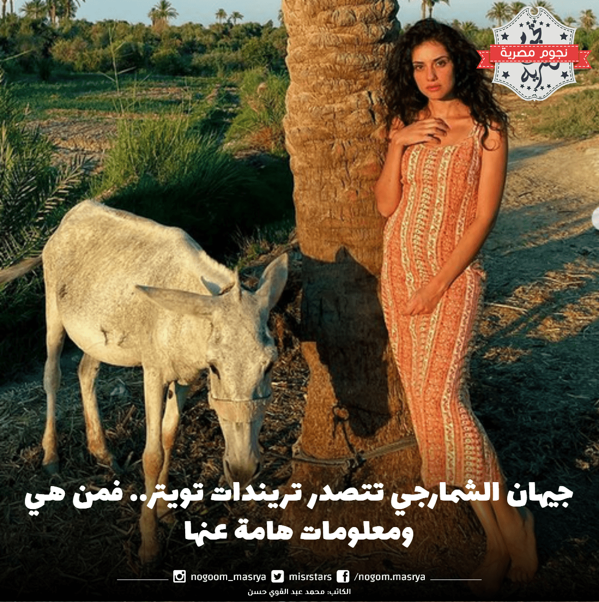 جيهان الشمارجي