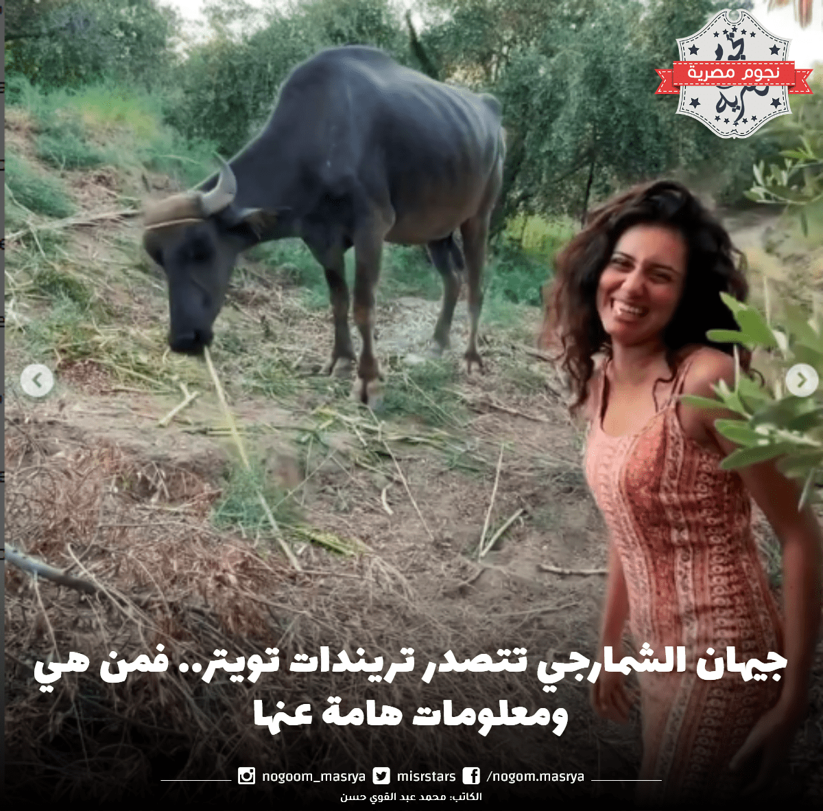 جيهان الشمارجي