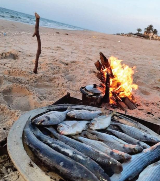 شمال سيناء تعود للحياة من جديد