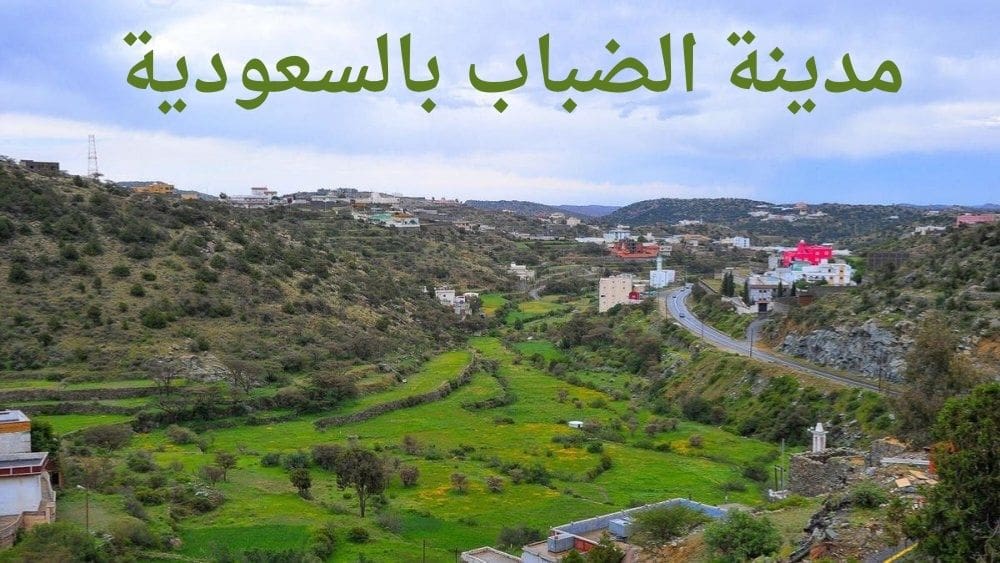 مدينة الضباب بالسعودية