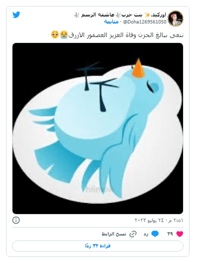 للمرة الثانية.. إيلون ماسك يعلن تغيير شعار تويتر ومغادرة العصفور الأزرق