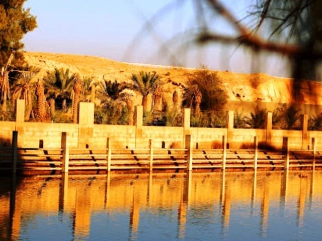 متنزه الملك سلمان البري بالرياض