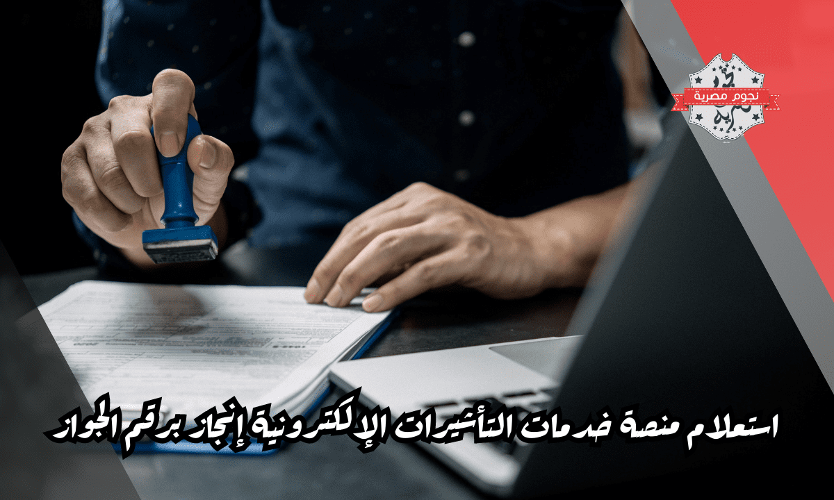 استعلام منصة خدمات التأشيرات الإلكترونية إنجاز برقم الجواز