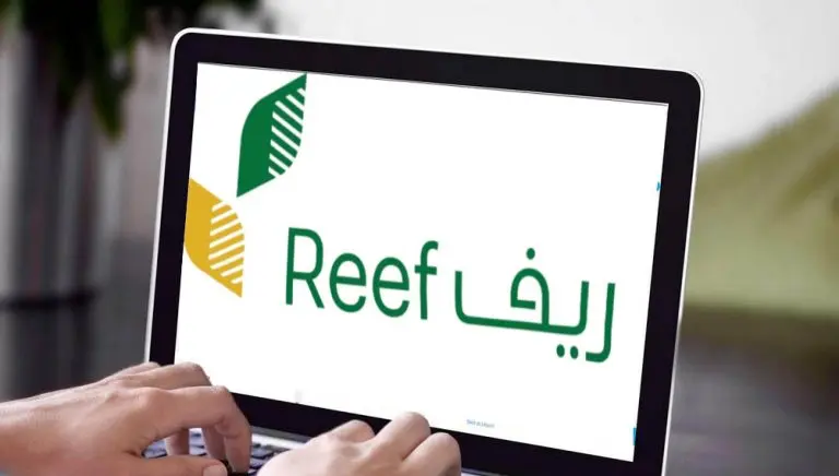 ما هي الفئات المستحقة لدعم ريف؟.. وزارة البيئة والمياه والزراعة تُجيب