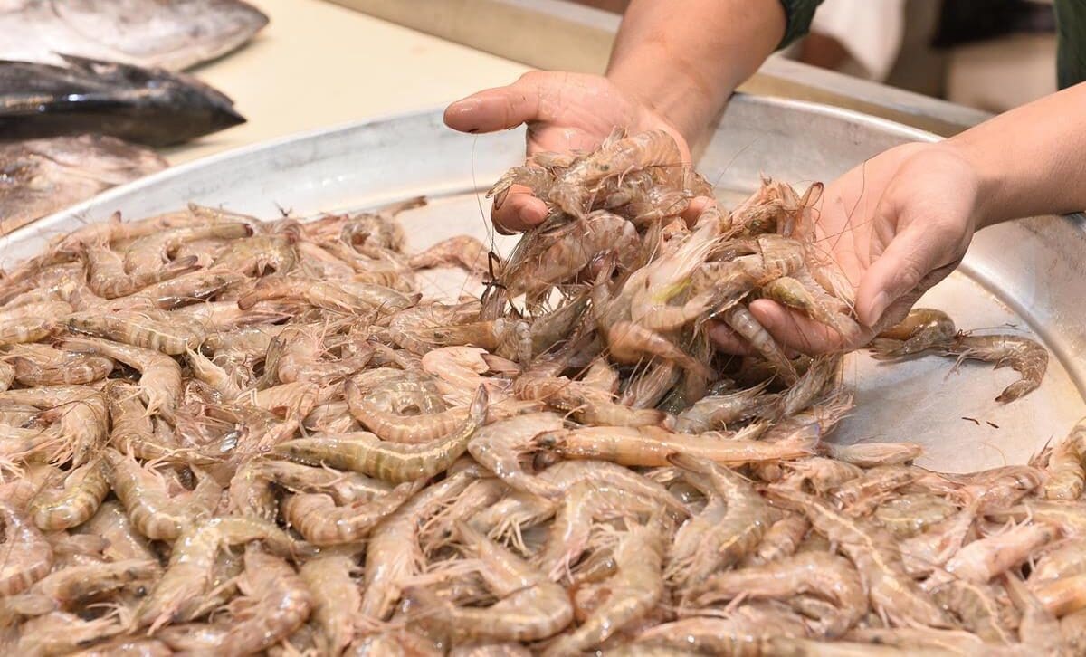 أسواق الأسماك