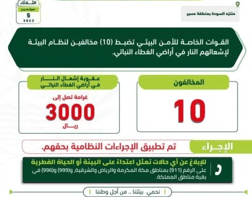 ضبط 10 مخالفين لإشعال النار في منتزه السودة وتطبيق العقوبات البيئية