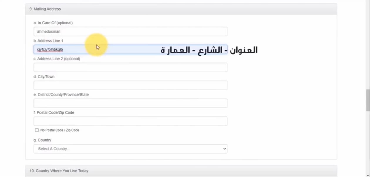 خطوات التقديم في الهجرة العشوائية لأمريكا وموعد التسجيل والشروط المطلوبة 2024