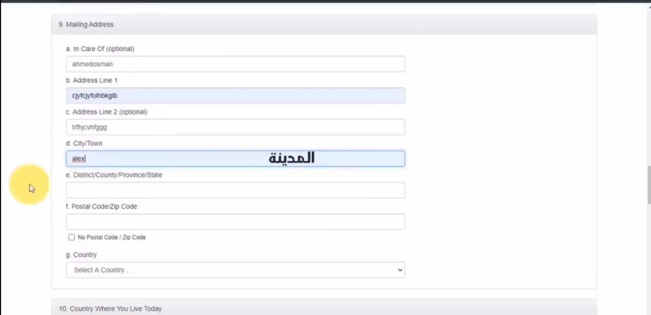 خطوات التقديم في الهجرة العشوائية لأمريكا وموعد التسجيل والشروط المطلوبة 2024