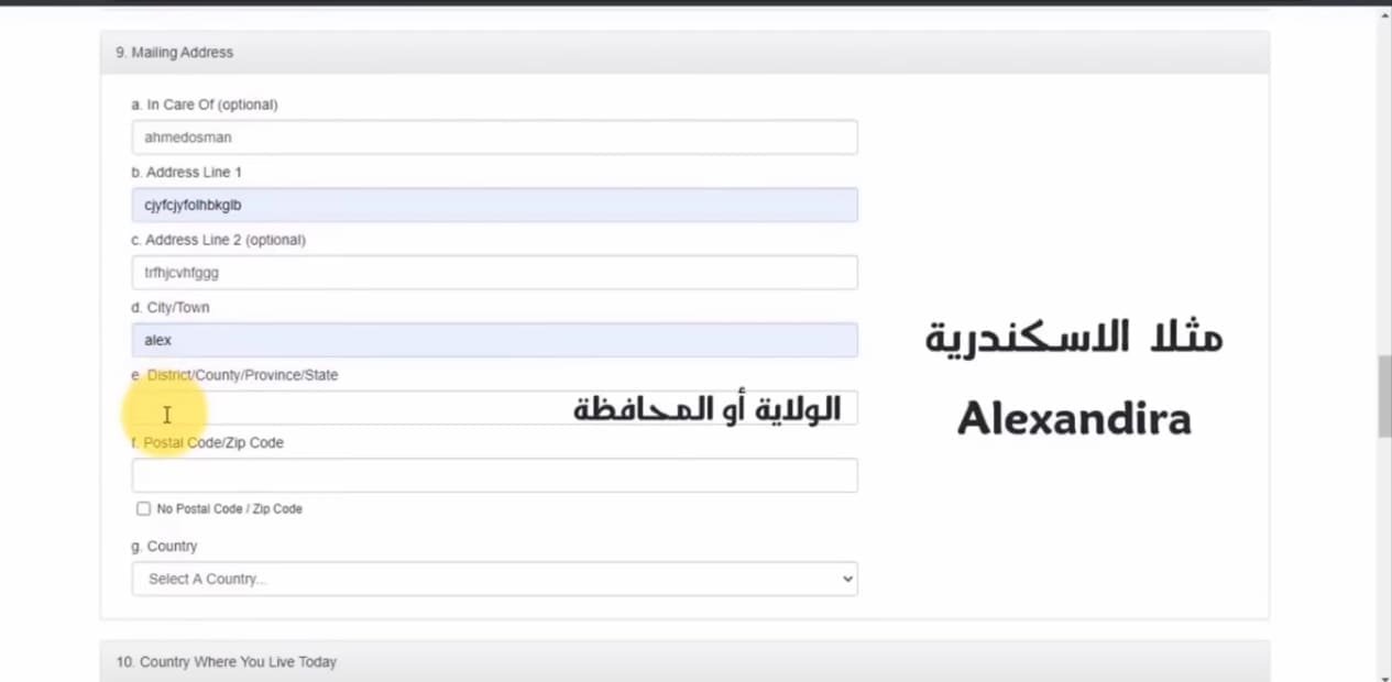 خطوات التقديم في الهجرة العشوائية لأمريكا وموعد التسجيل والشروط المطلوبة 2024