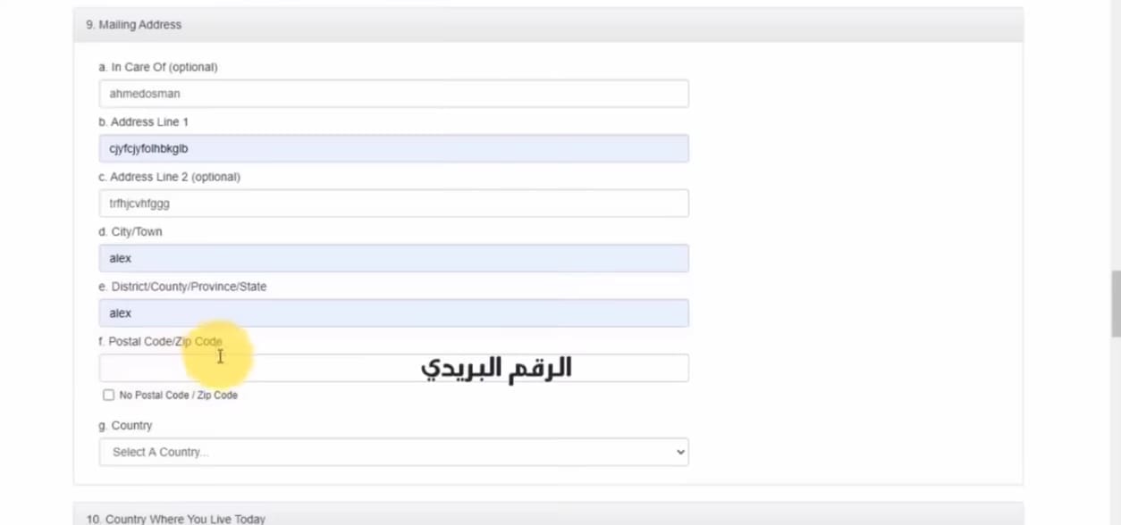 خطوات التقديم في الهجرة العشوائية لأمريكا وموعد التسجيل والشروط المطلوبة 2024